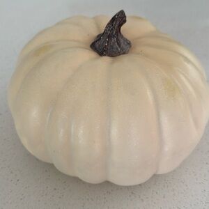 Pottery barn faux fall pumpkin